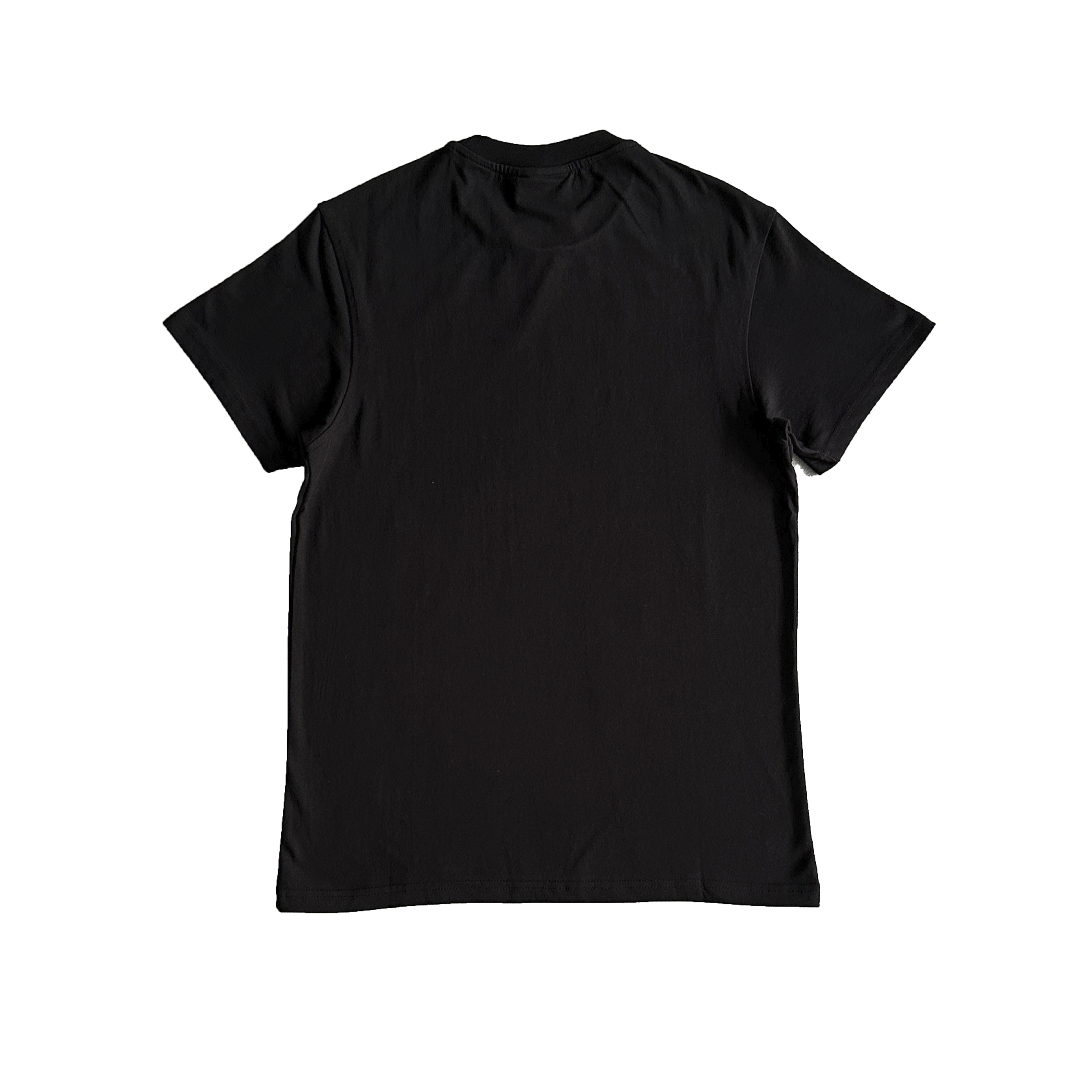SYNA WAGES DEATH TEE
