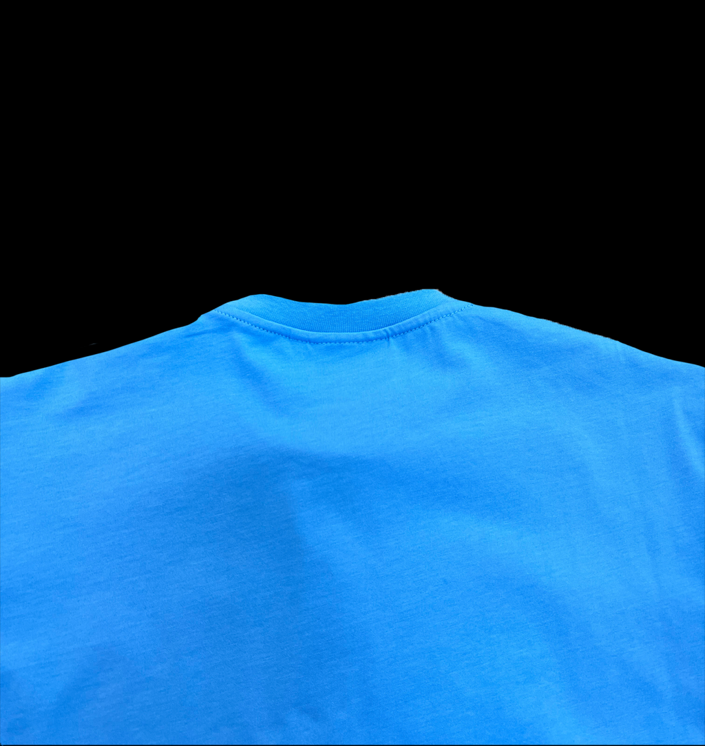 COLLEGE TEE (BLUE/PINK)