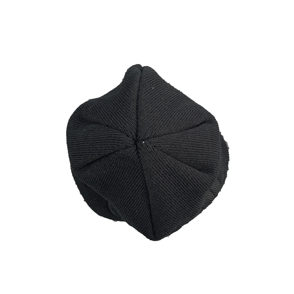 BIG LOGO WORLD SKULL CAP BEANIE (BLACK)