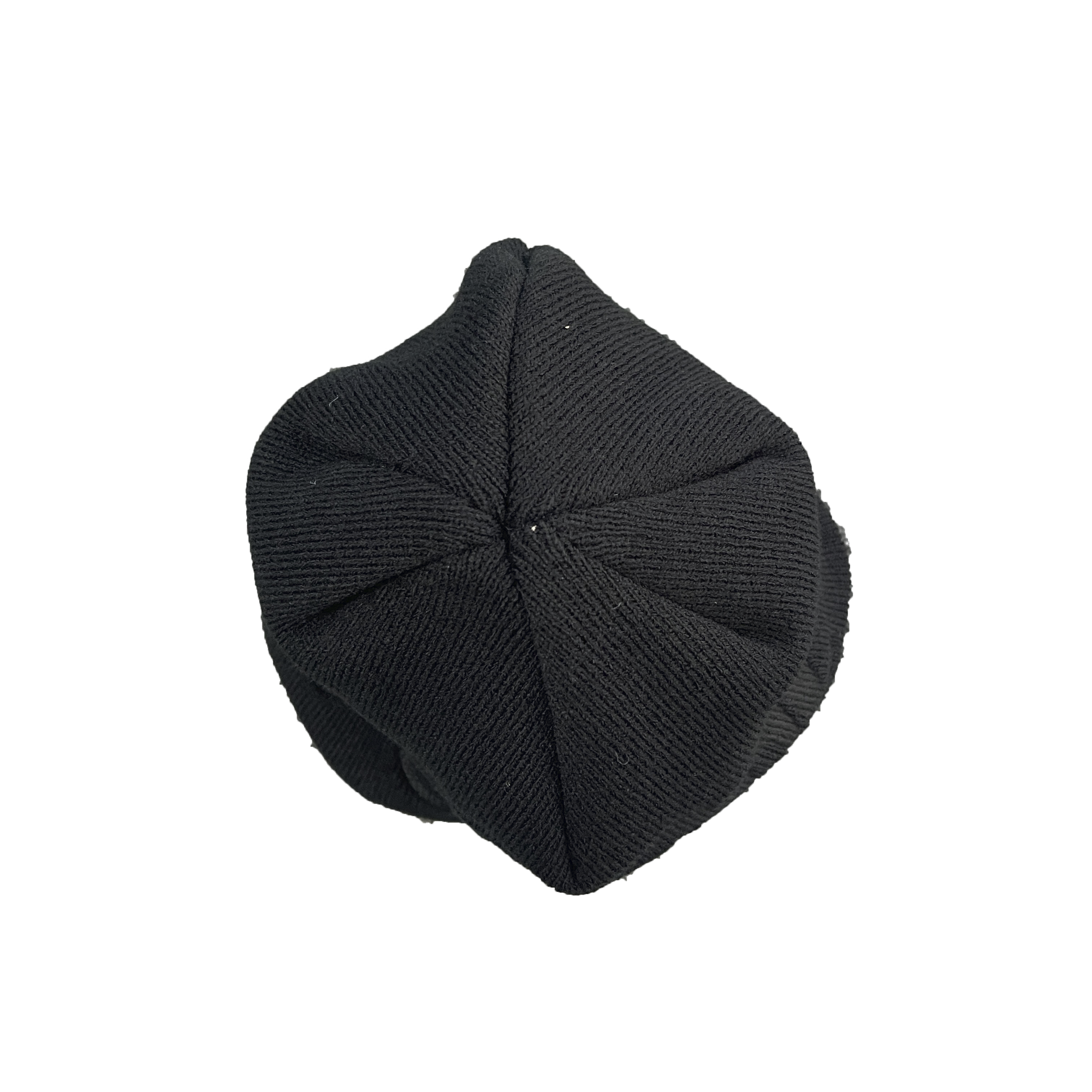 BIG LOGO WORLD SKULL CAP BEANIE (BLACK)